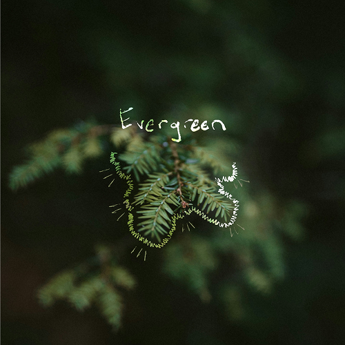 Evergreen
